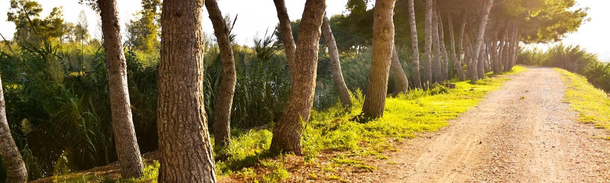 Апартаменты Ca Les Rinconetes Riola Экстерьер фото
